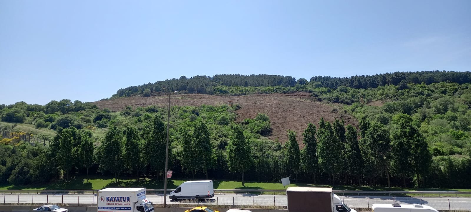 İstanbul'un göbeğinde ormanlık alanlar bir bir  talan ediliyor