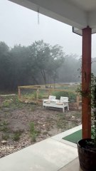 Wild Storm In Texas Knocks Over Oak