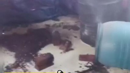 बैतूल: पुलिस ने संयुक्त कार्रवाई कर नष्ट कराया हजारों लीटर महुआ लहान