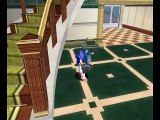 Sonic Adventure DX: Director's Cut online multiplayer - ngc