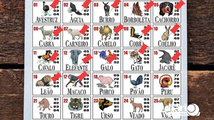 Há 15 anos no Jogo do Bicho, sousense sustenta família como cambista e se adapta às transformações