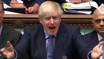 Boris Johnson resignation: Was the former Prime Minister right to step down as an MP?