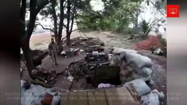 Ukraine Russia news live updates | Russia vs Ukraine war update | Ukraine Russia war