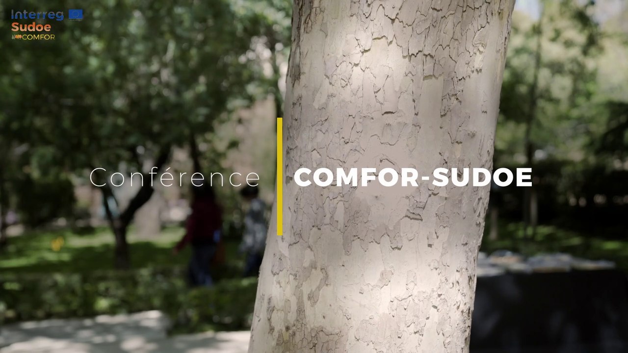 Conférence COMFOR-SUDOE