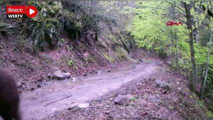 Fotokapanlara poz verip, memleketlerine selam gönderdiler