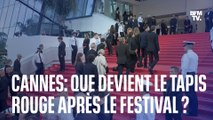 Cannes: que devient le tapis rouge après le festival?