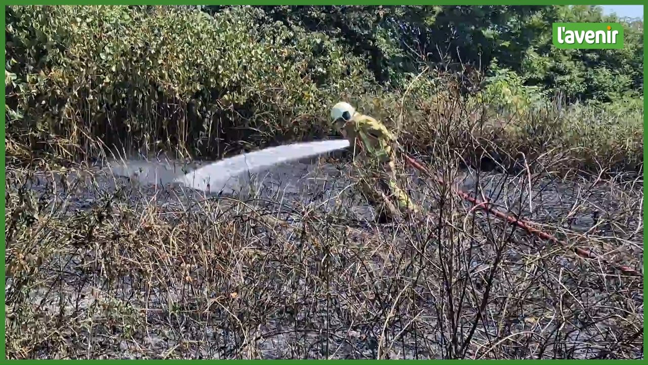 Châtelineau : feu de terril
