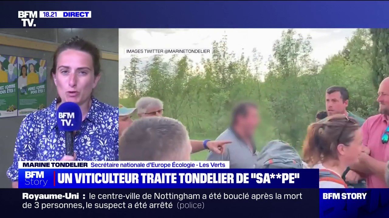 Marine Tondelier et Sandrine Rousseau insultées: "Les écologistes peuvent être un bouc émissaire idéal", pour Marine Tondelier (EELV)