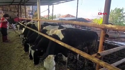 Les femmes organisent entre elles des tournois de volleyball à Denizli