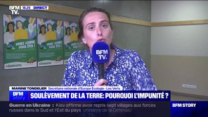 Marine Tondelier sur la destruction d'une serre: "Je suis pour la désescalade de la violence"
