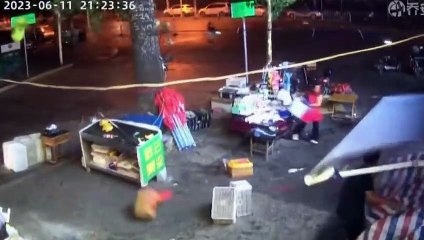 Ce livreur a échappé de peu au pire... arbre qui tombe