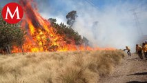 Reportan más de 600 incendios forestales en Michoacán