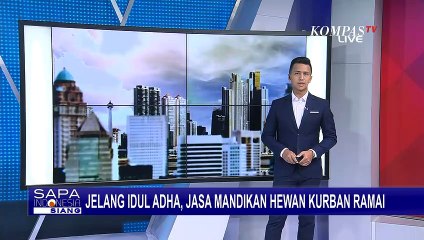 Jasa Cuci dan Perawatan Hewan Kurban Kebanjiran Pelanggan Jelang Idul Adha