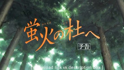 The forest of fireflies light