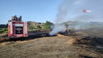 Buğday tarlasında çıkan yangın korkuttu