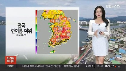 [날씨] 소나기 지나고 한낮 더위…자외선·오존↑