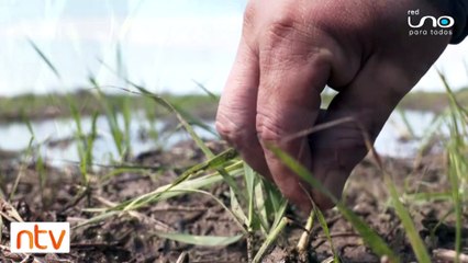 Miles de hectáreas quedaron inundadas en Cuatro Cañadas