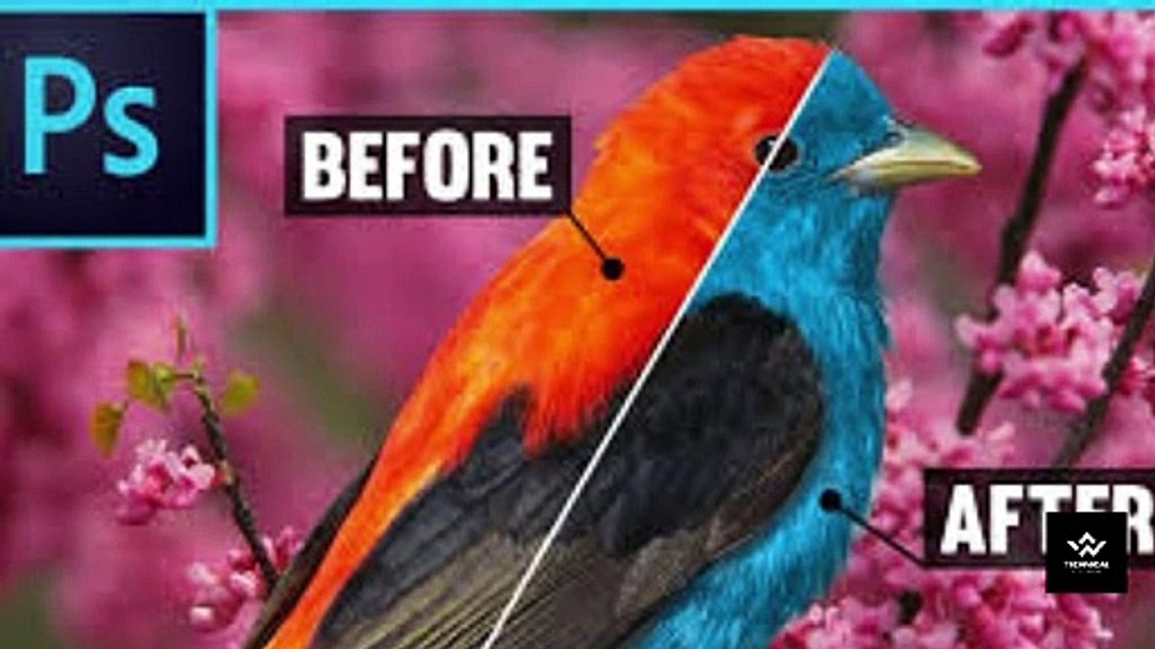 How to Change the Color of an Object in Photoshop | Adobe Photoshop in Hindi |Technical Learning