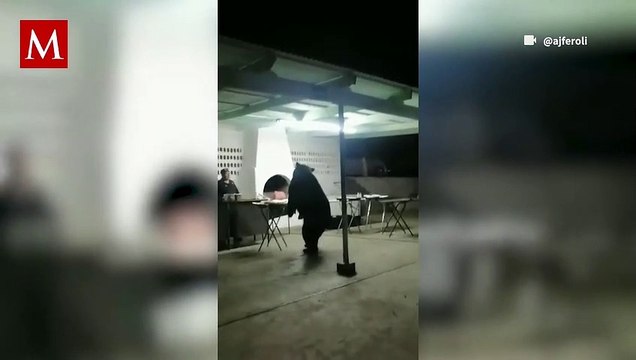 Un oso se coló a una fiesta en San Pedro, NL dejando sorprendidos a los invitados