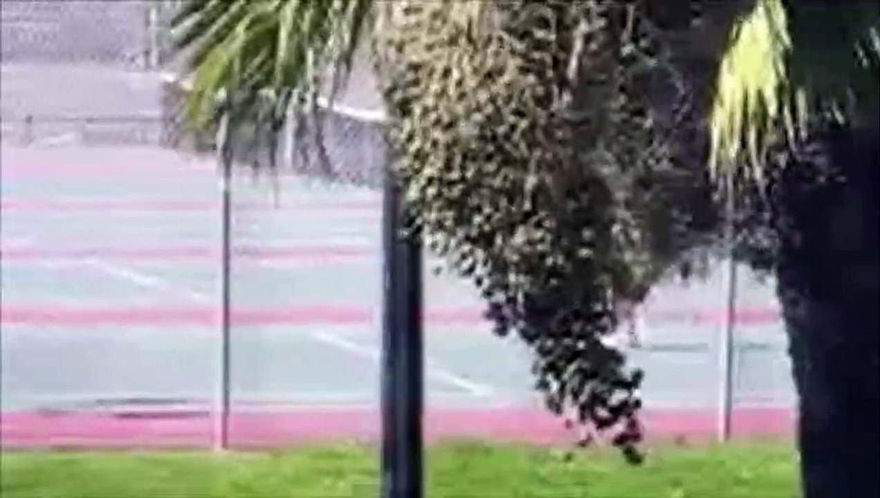 Eazy-E alive and well - Northern California