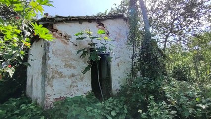 A CASA ABANDONADA QUE O MATO ENGOLIU