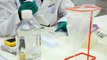 Chikungunya: primeira vacina contra doença apresenta resultados promissores