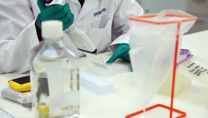 Chikungunya: primeira vacina contra doença apresenta resultados promissores