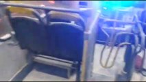 Manifestantes colocam fogo em ônibus em protesto contra derrubadas