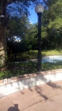 Universal Studios Florida Orlando, FL 2022