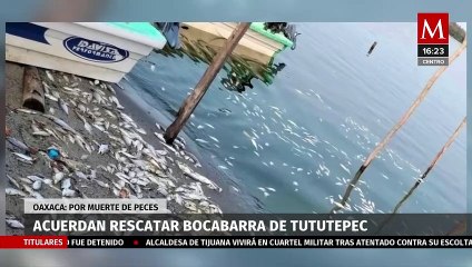 Gobierno de Oaxaca invertirá en desazolvar Bocabarra de Tututepec por muerte de peces