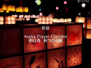 Nara  Asuka Corridor of Light  明日香　光の回廊