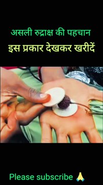 Asali rudraksh ki pahchan | Asali rudraksh ki kya pahchan hai |Asali rudraksh kaise pahchane