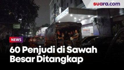 Diangkut Pakai Truk dan Angkot, 60 Penjudi di Sawah Besar Ditangkap Polda Metro Jaya 