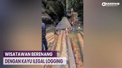 Wisatawan Dikagetkan dengan Kemunculan Kayu Ilegal Logging di Lokasi Wisata Alam Gulamo