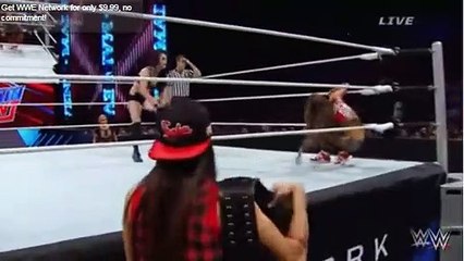Paige vs. Nikki Bella WWE Main Event