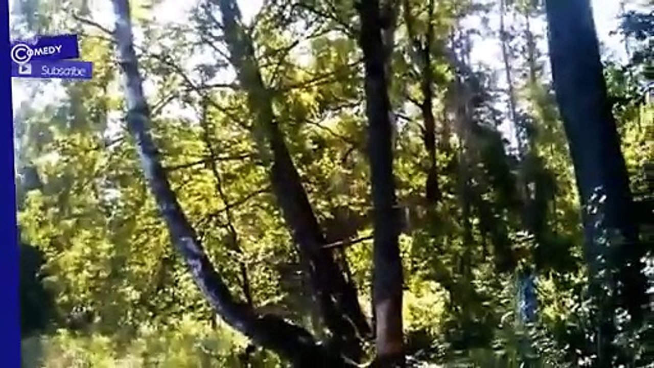 Best Fail Compilation 2015