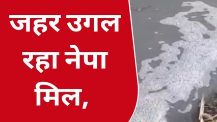 बुरहानपुर: नेपा लिमिटेड से निकल रहा जहरीला वेस्ट, किसानों की फसलें हुई बर्बाद
