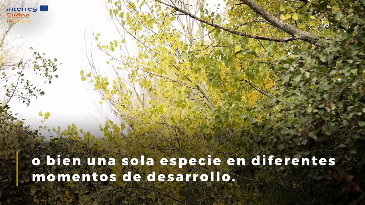 JORNADAS COMFOR-SUDOE