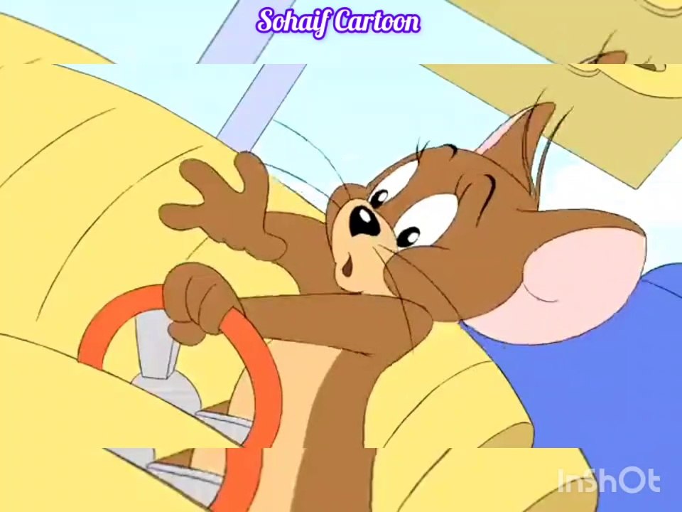 The Tom and Jerry Show | Cats vs Cumbers | Sohaif Group/ USA /India vs Australia /England /Pakistan /united state of America /