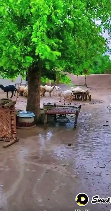 shooting video with music  of beautiful village
