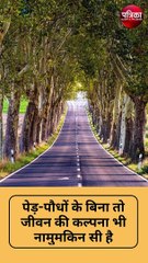 ये पौधा पर्यावरण के लिए है दुश्मन !