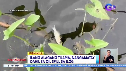 Ilang alagang tilapia, nangamatay dahil sa oil spill sa ilog | BT