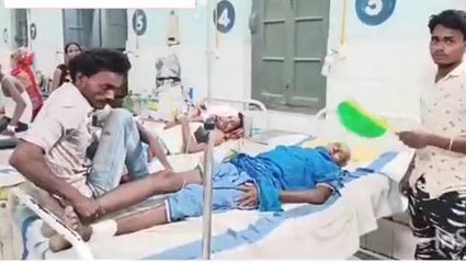 पूर्णिया: पेड़ काटने से रोकने पर पर्यावरण प्रेमी को दबंगों ने पीटा, जानिए पूरा मामला