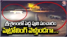 Tiger Wandering Creates Panic In Devotees Near Srisailam Sakshi Ganapati Temple | V6 News