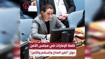 كلمة الإمارات في مجلس الأمن حول 