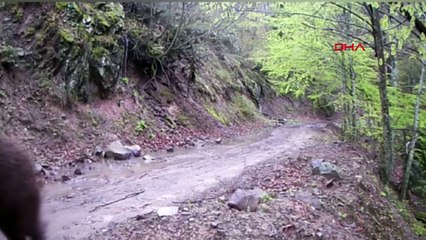 Fotokapana takılıp memleketlerine selam gönderdiler