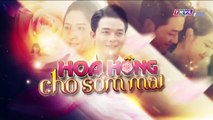 hoa hồng cho sớm mai tập 8 - phim việt nam thvl1 - xem phim hoa hong cho som mai tap 9