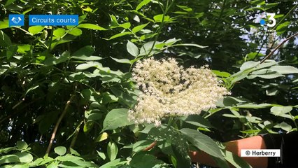 Circuits Courts - Herberry c'est quoi ?