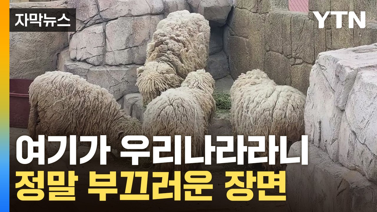 [자막뉴스] 보고 눈을 의심했습니다...처참한 동물원 상태 / YTN