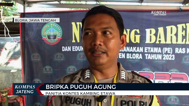 Kontes Kambing dengan Harga Jual Fantastis